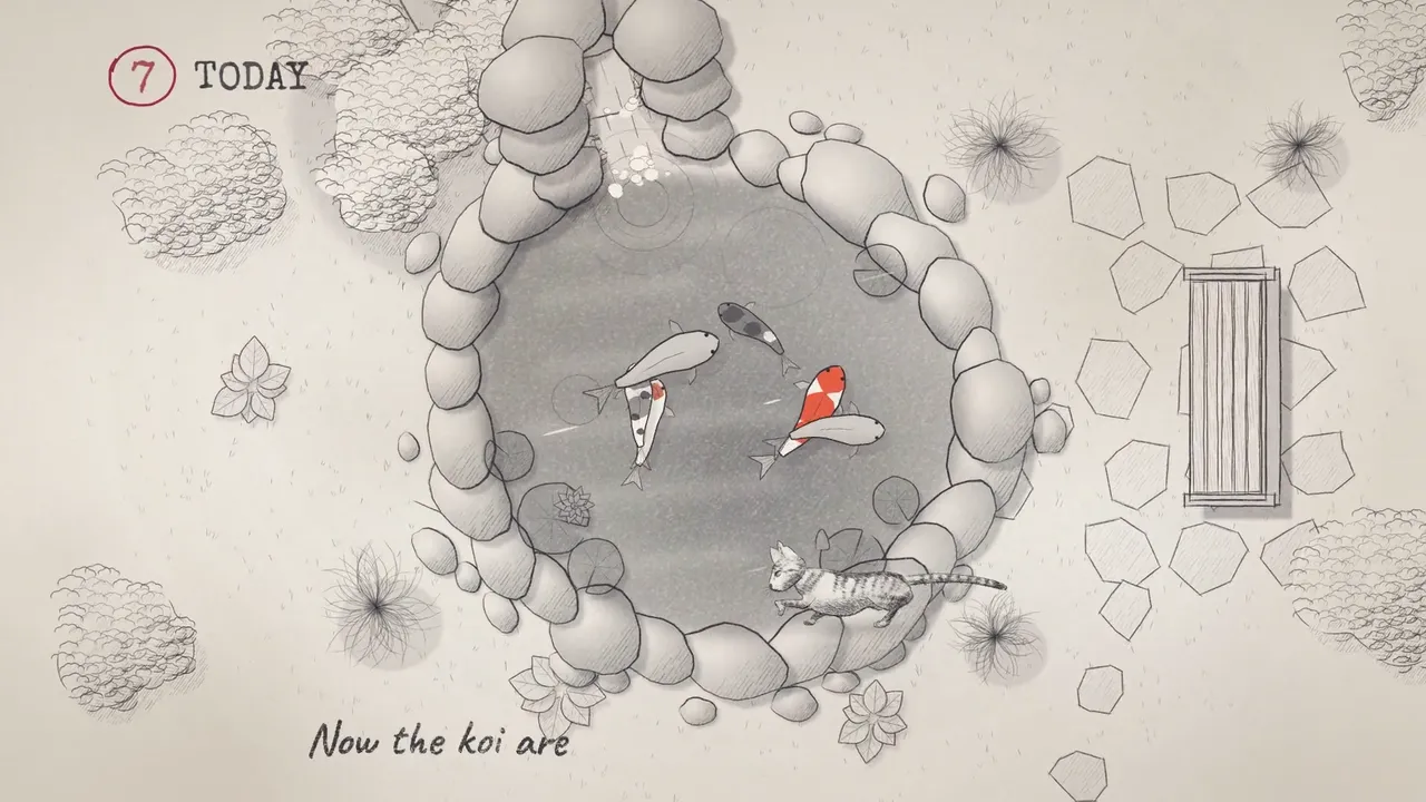 The finished frame: a pencil koi pond seen from above, everything grey except one orange koi